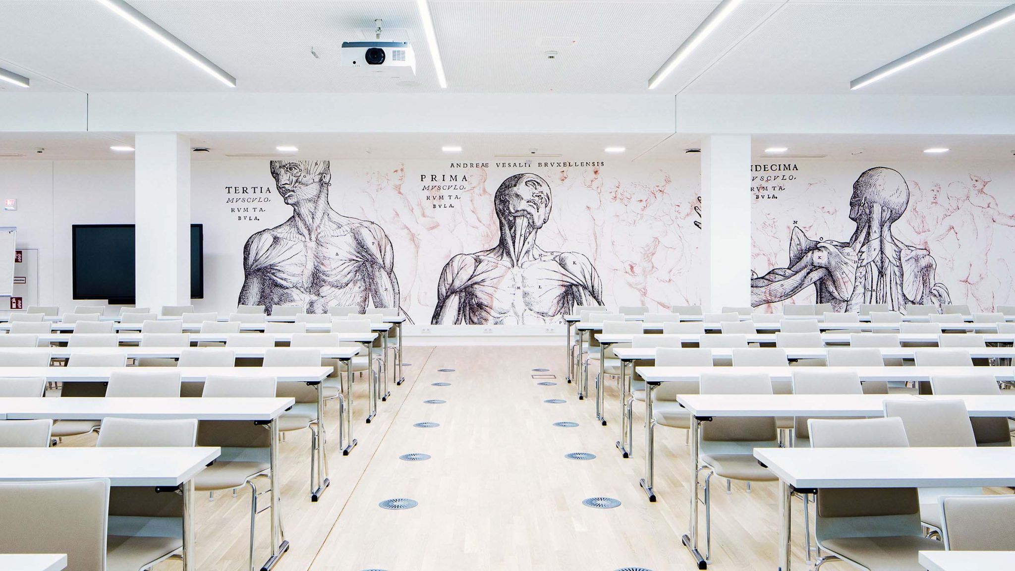 Auditorium Maximum mit Tapeten die anatomische Zeichnungen von Kopf und Oberkörper darstellen.